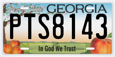 GA license plate PTS8143