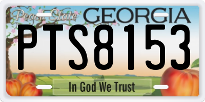 GA license plate PTS8153