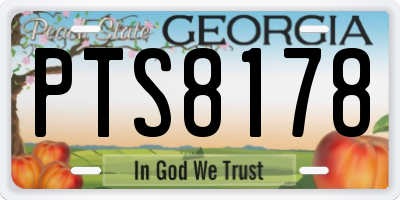 GA license plate PTS8178