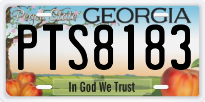 GA license plate PTS8183
