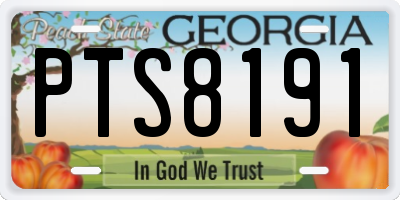 GA license plate PTS8191