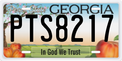 GA license plate PTS8217