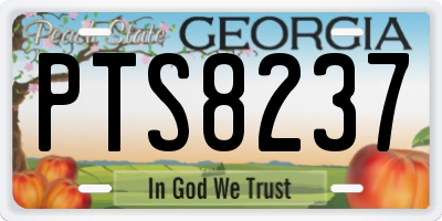 GA license plate PTS8237