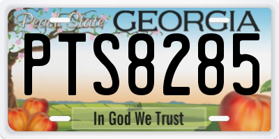 GA license plate PTS8285