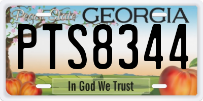 GA license plate PTS8344