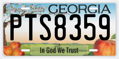 GA license plate PTS8359