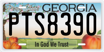 GA license plate PTS8390