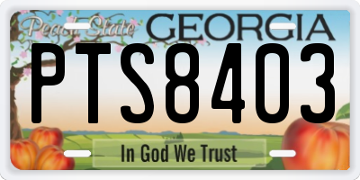 GA license plate PTS8403