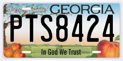 GA license plate PTS8424