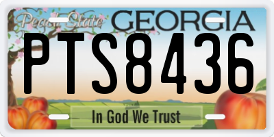GA license plate PTS8436