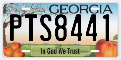GA license plate PTS8441