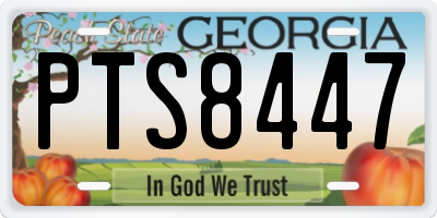 GA license plate PTS8447
