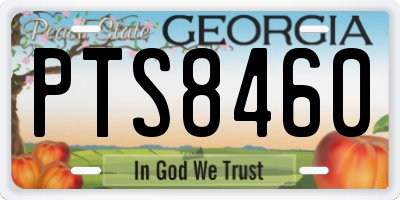 GA license plate PTS8460