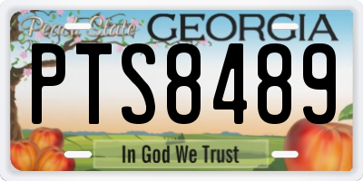 GA license plate PTS8489
