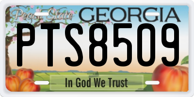 GA license plate PTS8509