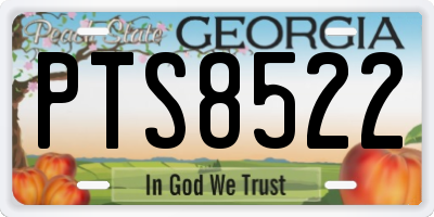 GA license plate PTS8522