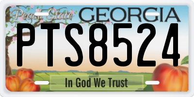 GA license plate PTS8524