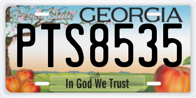 GA license plate PTS8535