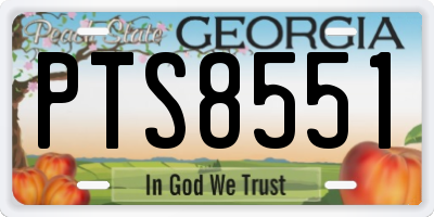 GA license plate PTS8551