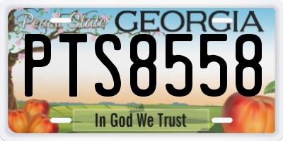 GA license plate PTS8558
