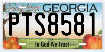 GA license plate PTS8581
