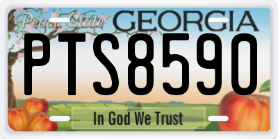 GA license plate PTS8590