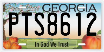 GA license plate PTS8612