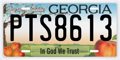 GA license plate PTS8613