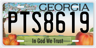 GA license plate PTS8619