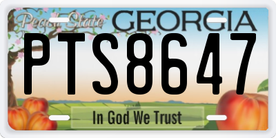 GA license plate PTS8647