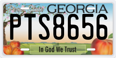 GA license plate PTS8656