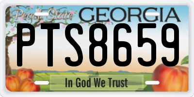 GA license plate PTS8659