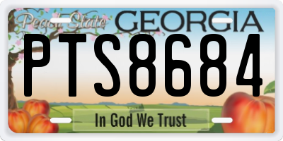 GA license plate PTS8684