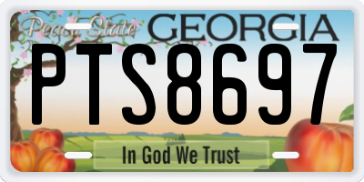 GA license plate PTS8697