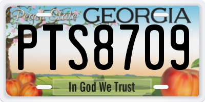 GA license plate PTS8709