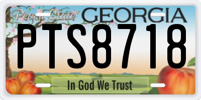 GA license plate PTS8718