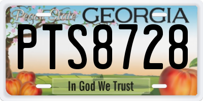 GA license plate PTS8728