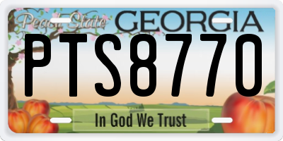 GA license plate PTS8770