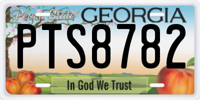 GA license plate PTS8782