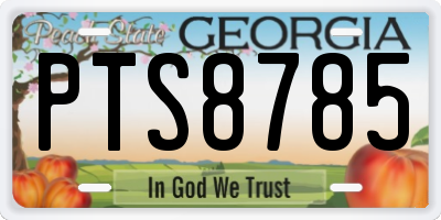 GA license plate PTS8785
