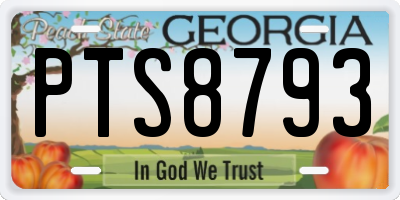 GA license plate PTS8793