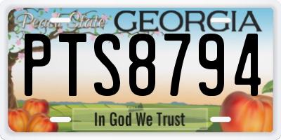 GA license plate PTS8794