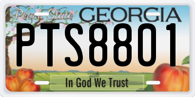 GA license plate PTS8801