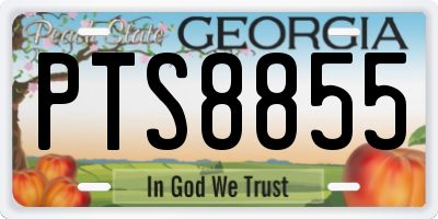 GA license plate PTS8855