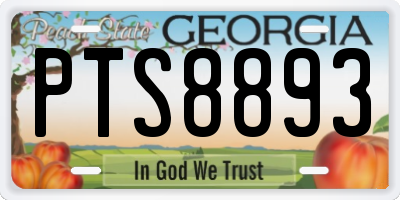 GA license plate PTS8893