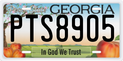 GA license plate PTS8905