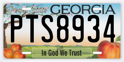 GA license plate PTS8934