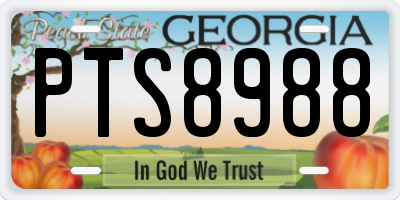 GA license plate PTS8988