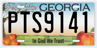 GA license plate PTS9141