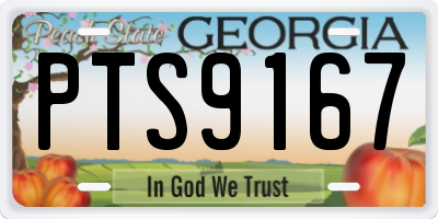GA license plate PTS9167